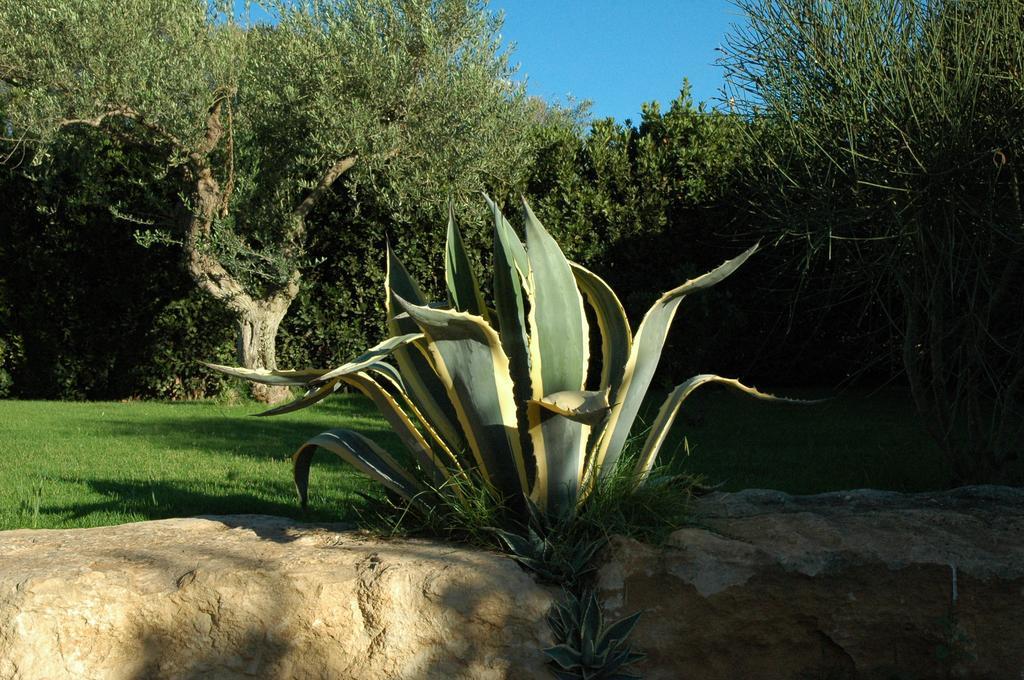 Appartamento Alimede Ecodimora Santa Croce Camerina Esterno foto